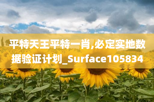 平特天王平特一肖,必定实地数据验证计划_Surface105834