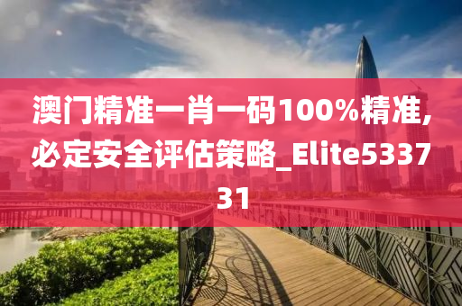 澳门精准一肖一码100%精准,必定安全评估策略_Elite533731