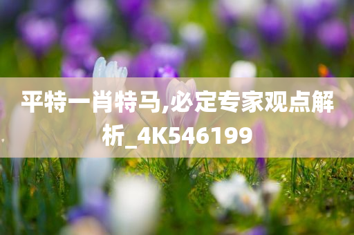 平特一肖特马,必定专家观点解析_4K546199