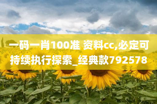 一码一肖100准 资料cc,必定可持续执行探索_经典款792578