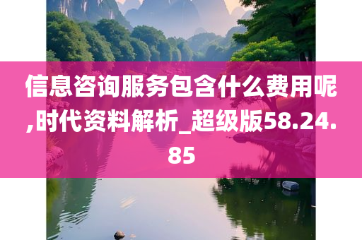 信息咨询服务包含什么费用呢,时代资料解析_超级版58.24.85