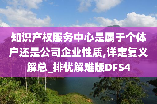 知识产权服务中心是属于个体户还是公司企业性质,详定复义解总_排忧解难版DFS4