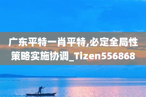 广东平特一肖平特,必定全局性策略实施协调_Tizen556868