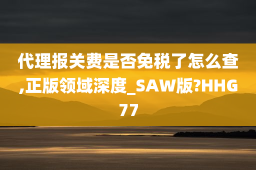 代理报关费是否免税了怎么查,正版领域深度_SAW版?HHG77