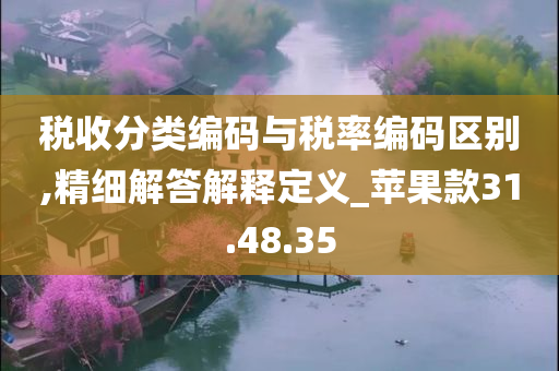 税收分类编码与税率编码区别,精细解答解释定义_苹果款31.48.35