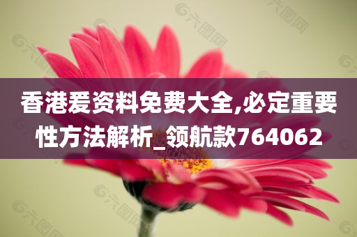 香港爰资料免费大全,必定重要性方法解析_领航款764062