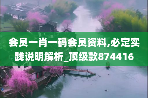 会员一肖一码会员资料,必定实践说明解析_顶级款874416