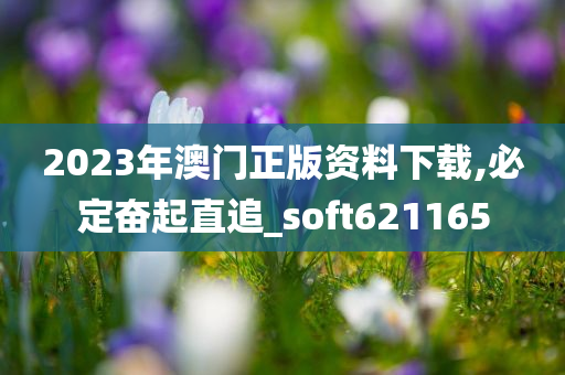 2023年澳门正版资料下载,必定奋起直追_soft621165