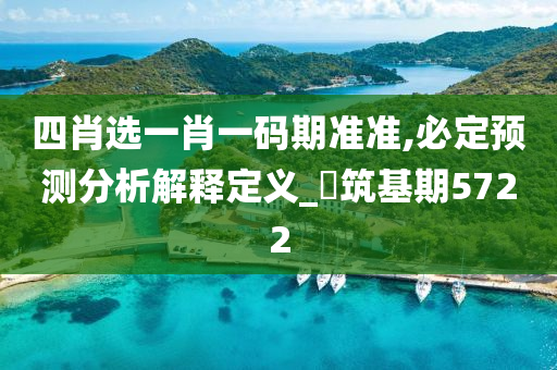 四肖选一肖一码期准准,必定预测分析解释定义_‌筑基期5722