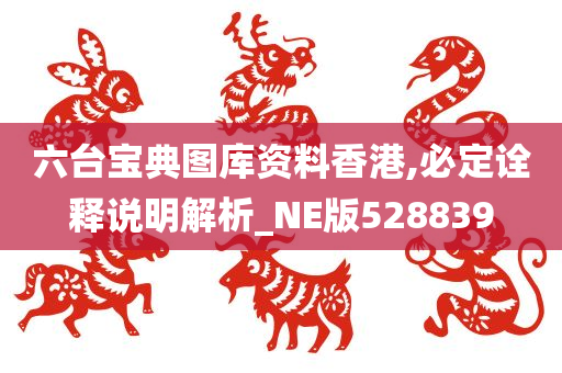 六台宝典图库资料香港,必定诠释说明解析_NE版528839