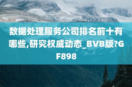 数据处理服务公司排名前十有哪些,研究权威动态_BVB版?GF898