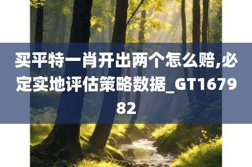 买平特一肖开出两个怎么赔,必定实地评估策略数据_GT167982