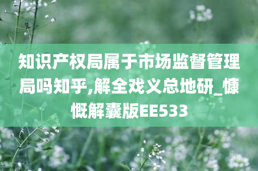 知识产权局属于市场监督管理局吗知乎,解全戏义总地研_慷慨解囊版EE533