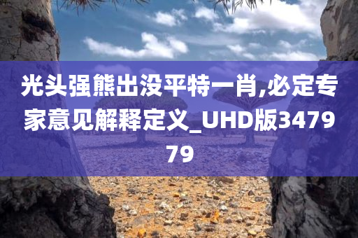 光头强熊出没平特一肖,必定专家意见解释定义_UHD版347979