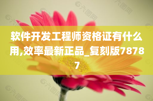 软件开发工程师资格证有什么用,效率最新正品_复刻版78787