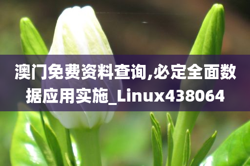 澳门免费资料查询,必定全面数据应用实施_Linux438064