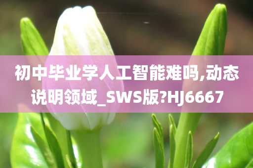 初中毕业学人工智能难吗,动态说明领域_SWS版?HJ6667