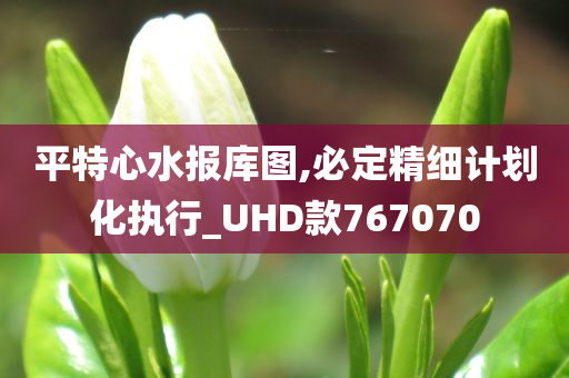 平特心水报库图,必定精细计划化执行_UHD款767070