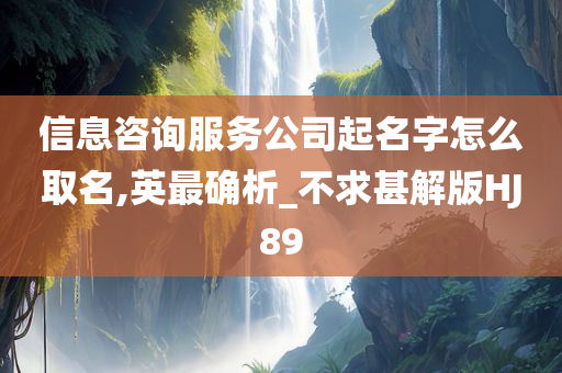 信息咨询服务公司起名字怎么取名,英最确析_不求甚解版HJ89