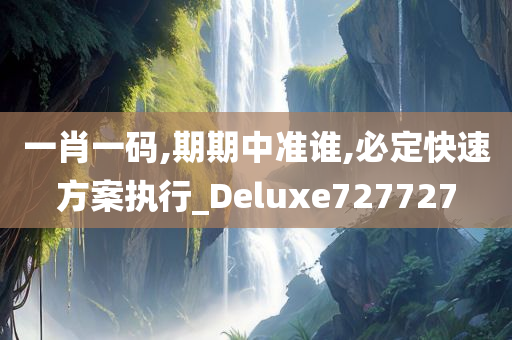 一肖一码,期期中准谁,必定快速方案执行_Deluxe727727