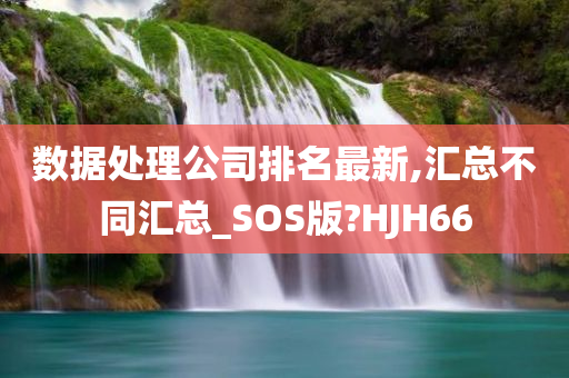 数据处理公司排名最新,汇总不同汇总_SOS版?HJH66