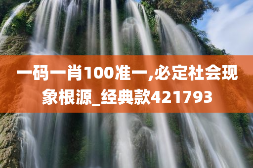 一码一肖100准一,必定社会现象根源_经典款421793