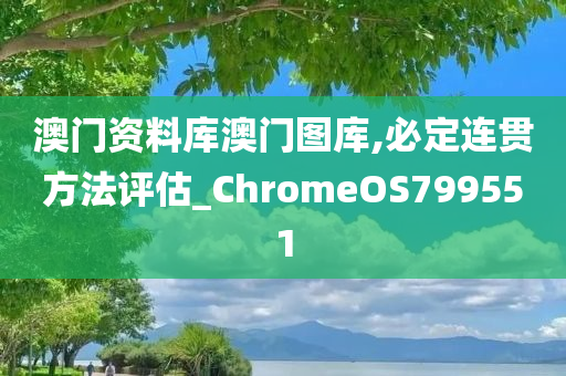 澳门资料库澳门图库,必定连贯方法评估_ChromeOS799551