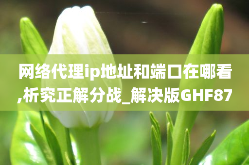 网络代理ip地址和端口在哪看,析究正解分战_解决版GHF87