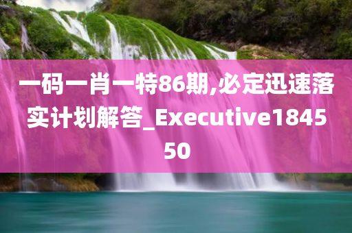 一码一肖一特86期,必定迅速落实计划解答_Executive184550