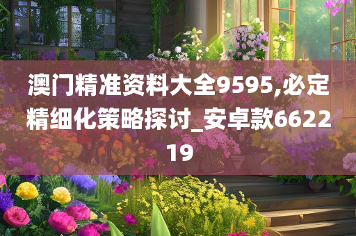 澳门精准资料大全9595,必定精细化策略探讨_安卓款662219