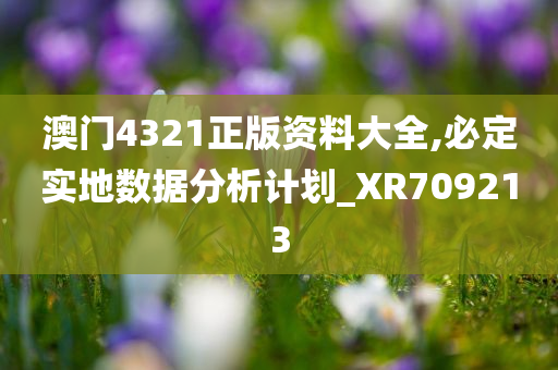 澳门4321正版资料大全,必定实地数据分析计划_XR709213