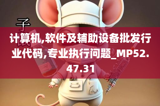 计算机,软件及辅助设备批发行业代码,专业执行问题_MP52.47.31