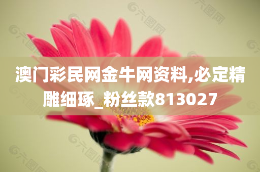 澳门彩民网金牛网资料,必定精雕细琢_粉丝款813027