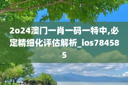 2o24澳门一肖一码一特中,必定精细化评估解析_ios784585