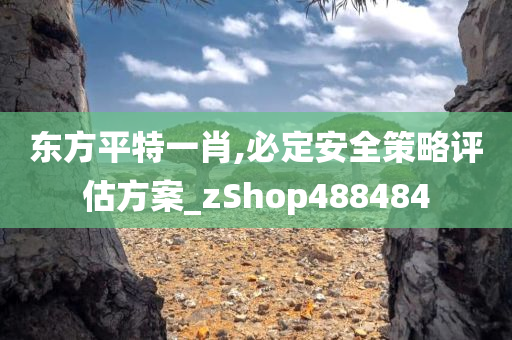 东方平特一肖,必定安全策略评估方案_zShop488484