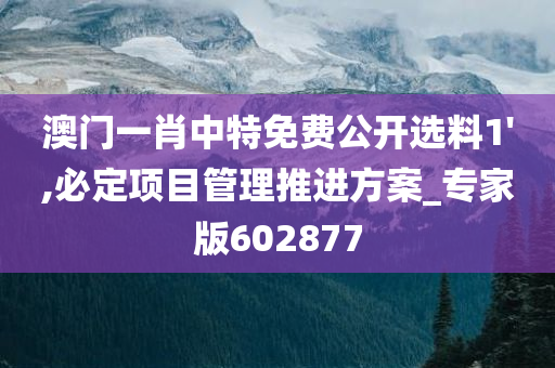 澳门一肖中特免费公开选料1',必定项目管理推进方案_专家版602877