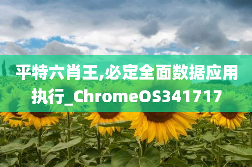 平特六肖王,必定全面数据应用执行_ChromeOS341717