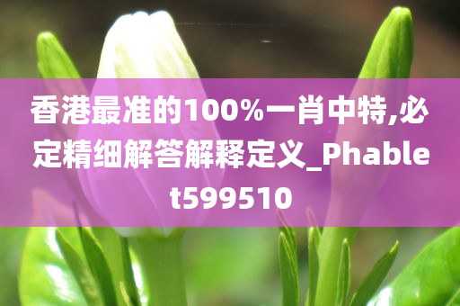 香港最准的100%一肖中特,必定精细解答解释定义_Phablet599510