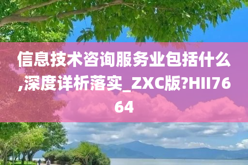 信息技术咨询服务业包括什么,深度详析落实_ZXC版?HII7664