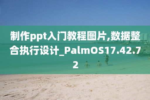 制作ppt入门教程图片,数据整合执行设计_PalmOS17.42.72