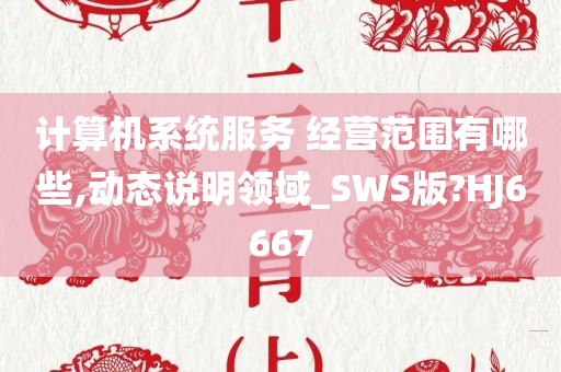 计算机系统服务 经营范围有哪些,动态说明领域_SWS版?HJ6667