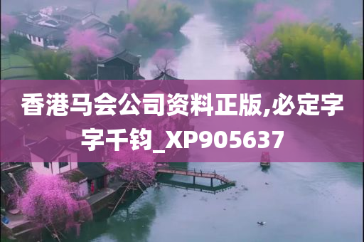 香港马会公司资料正版,必定字字千钧_XP905637