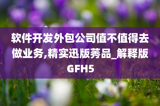 软件开发外包公司值不值得去做业务,精实迅版莠品_解释版GFH5