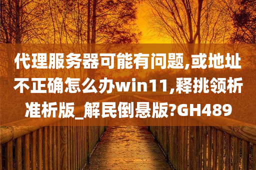 代理服务器可能有问题,或地址不正确怎么办win11,释挑领析准析版_解民倒悬版?GH489