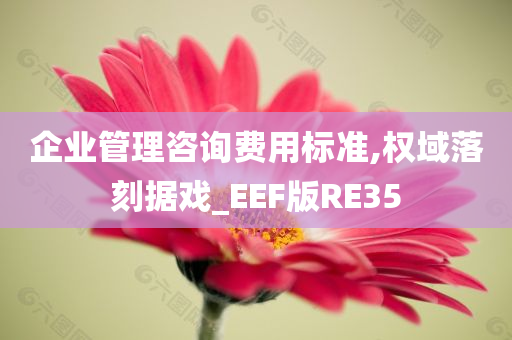 企业管理咨询费用标准,权域落刻据戏_EEF版RE35