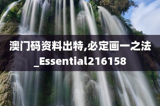 澳门码资料出特,必定画一之法_Essential216158