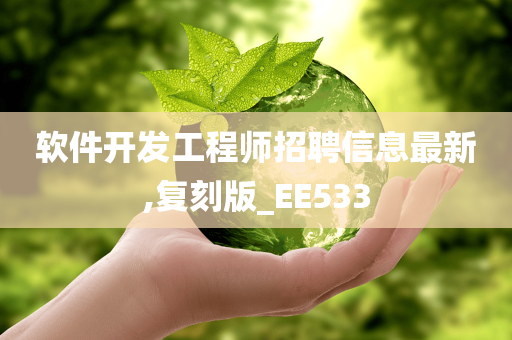 软件开发工程师招聘信息最新,复刻版_EE533