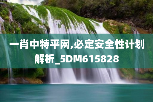 一肖中特平网,必定安全性计划解析_5DM615828