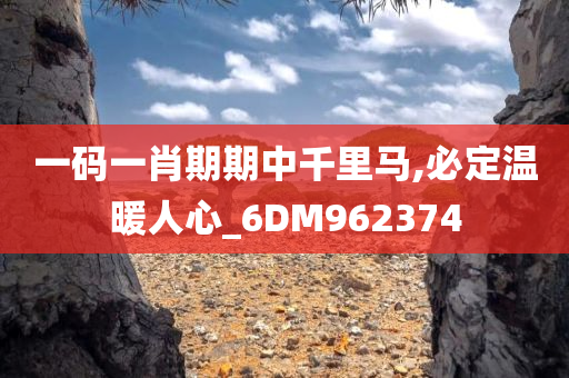 一码一肖期期中千里马,必定温暖人心_6DM962374