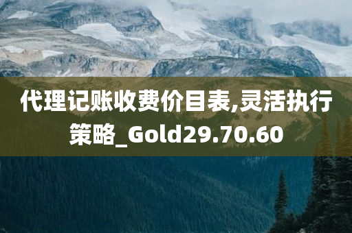 代理记账收费价目表,灵活执行策略_Gold29.70.60